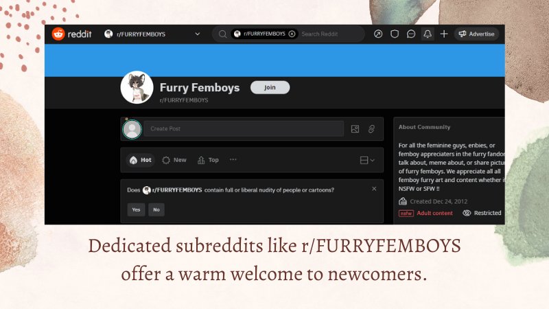 Furry Phenomenon