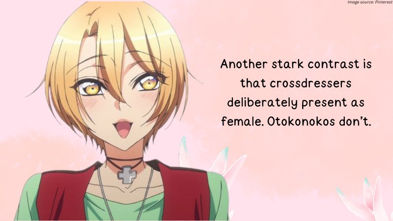 MTF Crossdressers in Hentai Manga: What is Otokonoko or Male Girl?