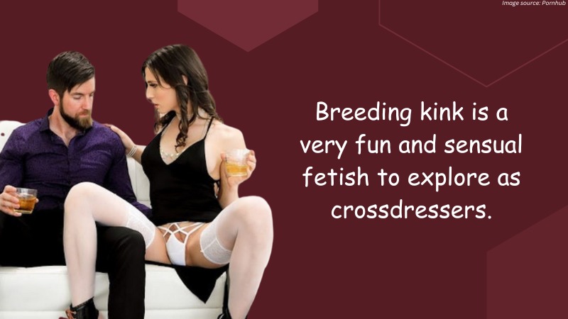 What Is A Breeding Kink
