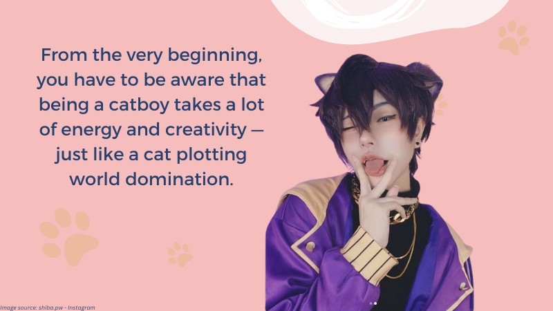 5 Tips for Transforming into the Best Catboy