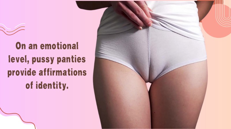 What Are Pussy Panties: Ultimate Guide for Crossdressers and Transwomen