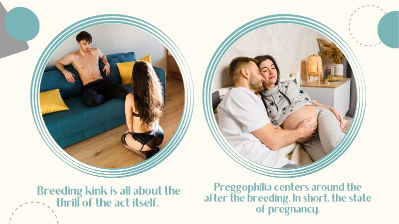 What Is the Difference Between Breeding Kink and Preggophilia?