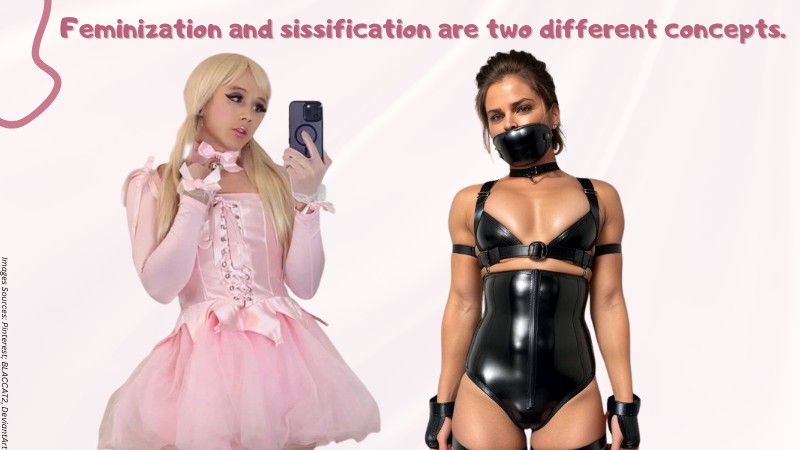 Feminization vs. Sissification: What’s the Difference?