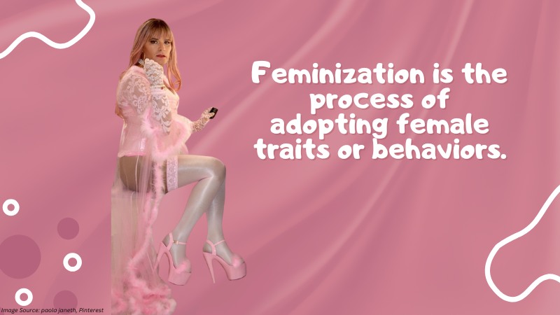 Feminization vs. Sissification: What’s the Difference?