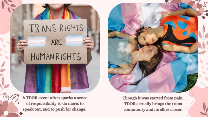 How to Celebrate Transgender Awareness Week & TDOR 2024?