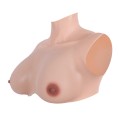 Upgraded D Cup Breasts East West Shape