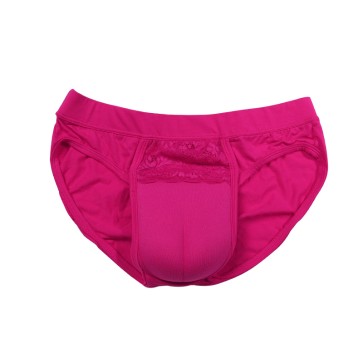 Hiding Gaff Panty Shaping Pant Brief